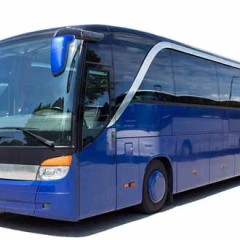 Права категории D